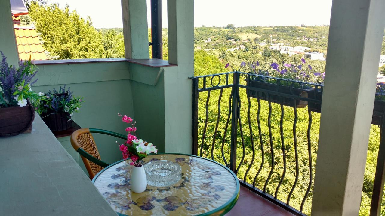 Zielone Wzgorze Na Starowce Apartman Sandomierz Kültér fotó