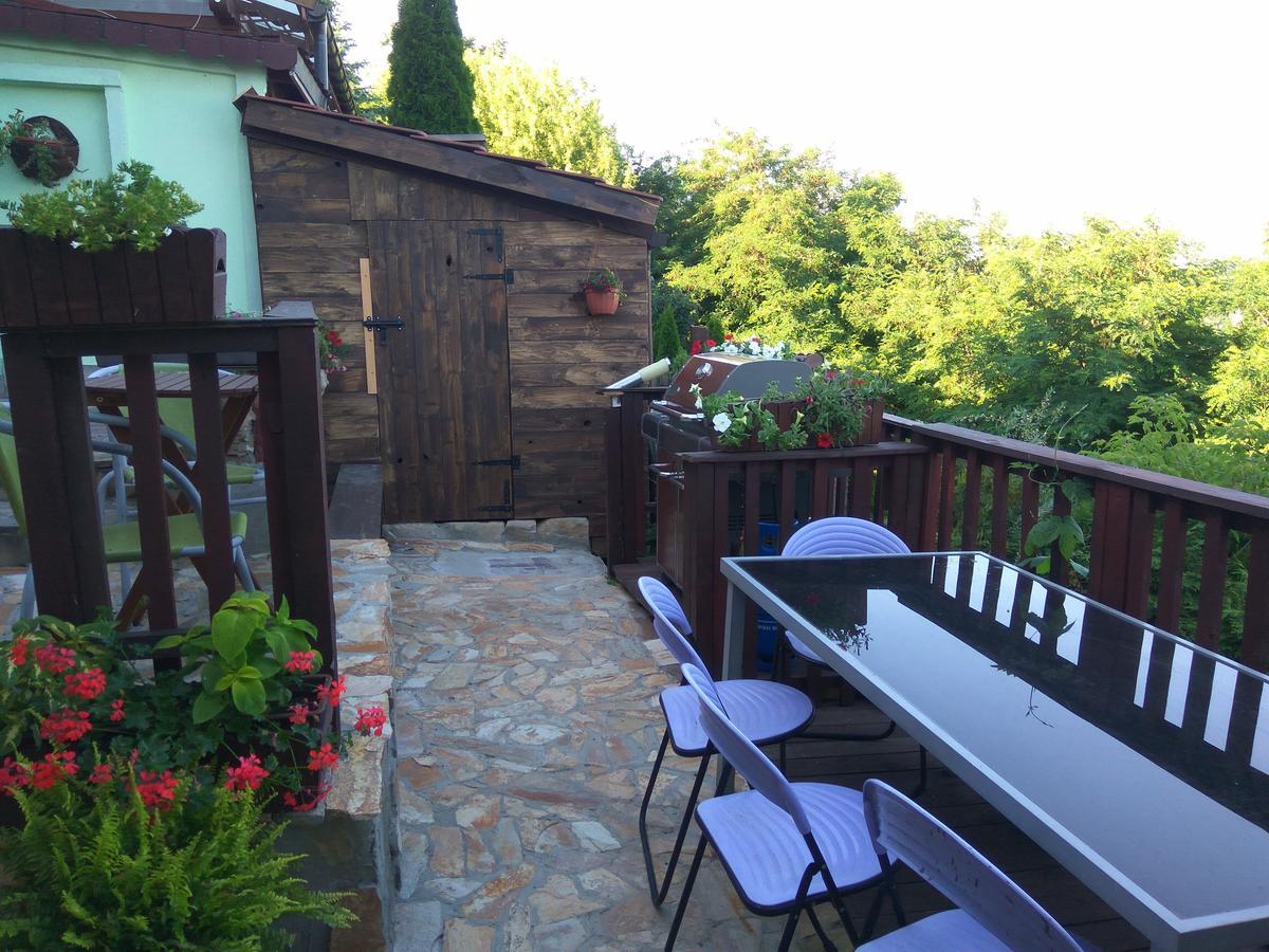 Zielone Wzgorze Na Starowce Apartman Sandomierz Kültér fotó